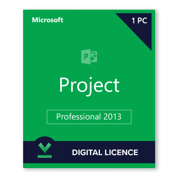 Project Professional 2013