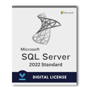 Microsoft SQL Server 2022 Standard Edition 1 User License